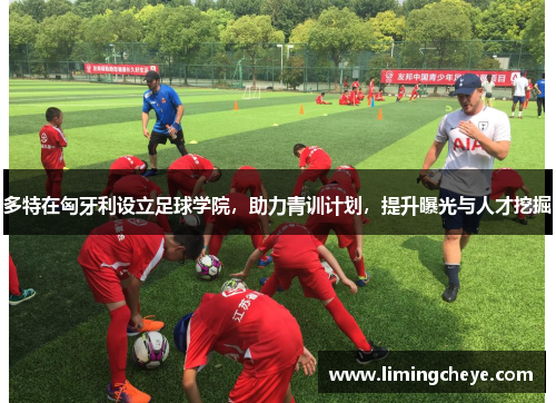 多特在匈牙利设立足球学院，助力青训计划，提升曝光与人才挖掘